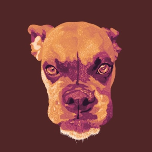 Meet your Posher, Ayden - Picture 1 of 1